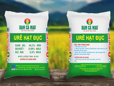 DCM: Cổ phiếu liên tục tăng giá sau thông tin cổ đông nội bộ mua vào