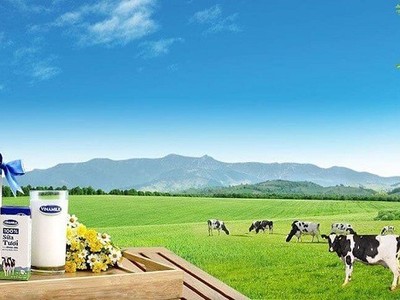 Vinamilk (VNM): Lợi nhuận đi ngang trong quý I/2020
