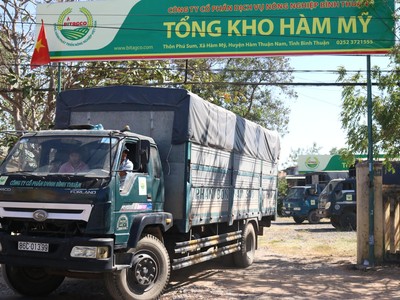 Dịch vụ Nông nghiệp Bình Thuận (ABS): Quý IV/2020 lợi nhuận đạt 39,6 tỷ đồng, tăng 144,4%