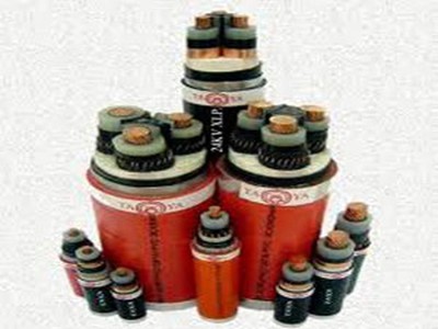 Dây và Cáp Điện Taya Việt Nam (TYA): Năm 2021 đặt kế hoạch lợi nhuận tăng 5,5% lên 75,4 tỷ đồng