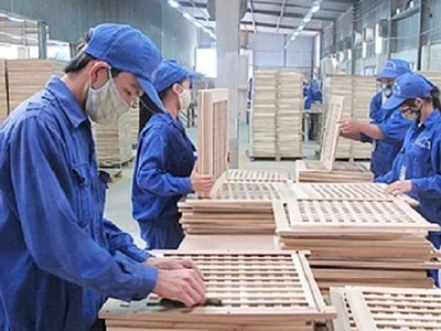 Gỗ Trường Thành (TTF): Quý I/2021 lỗ thêm 39,3 tỷ đồng nâng mức lỗ lũy kế bằng 99,1% vốn điều lệ