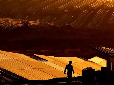 Ngành năng lượng mặt trời lao đao khi chi phí nguyên liệu đầu vào tăng