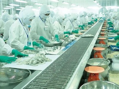 Thực phẩm Sao Ta (FMC): Doanh số 6 tháng đầu năm ước đạt 99,1 triệu USD, tăng 29%