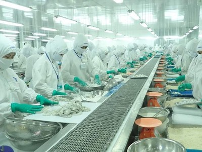 Thực phẩm Sao Ta (FMC): Chủ tịch HĐQT đăng ký mua thêm cổ phiếu