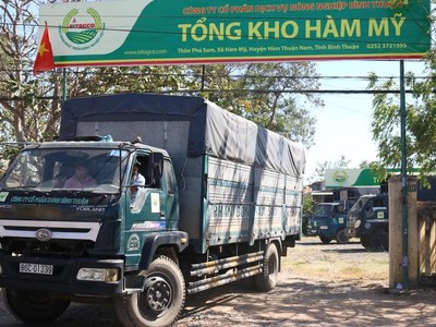 Nông nghiệp Bình Thuận (ABS): Tổ chức liên quan lãnh đạo đăng ký bán toàn bộ 1,7 triệu cổ phiếu