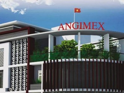 Angimex (AGM) bán 49% vốn tại công ty con hoạt động trong lĩnh vực bán mô tô, xe máy cho Louis Capital (TGG)