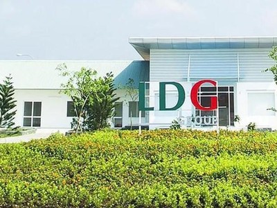 Đầu tư LDG (LDG): Cổ phiếu giảm sàn 5 phiên liên tiếp, Công ty nói gì?