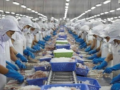 Tháng 11/2022, doanh thu xuất khẩu Vĩnh Hoàn (VHC) đều giảm ở thị trường Mỹ, châu Âu và Trung Quốc