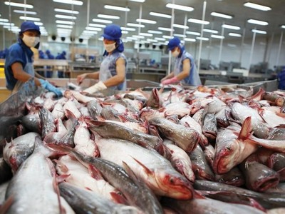 Dragon Capital quay sang bán ra cổ phiếu Vĩnh Hoàn (VHC)