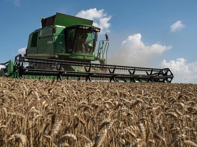 Nguồn cung lương thực toàn cầu vẫn gặp rủi ro dù giá đầu vào giảm