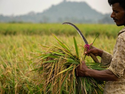 Những người nghèo nhất thế giới đang phải chịu "một cơn bão hoàn hảo"