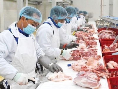 BaF Việt Nam (BAF) sẽ không trả cổ tức năm 2024 dù lãi đột biến