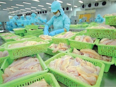 Nam Việt (ANV): Con trai Tổng giám đốc Doãn Tới vừa bị bán giải chấp cổ phiếu