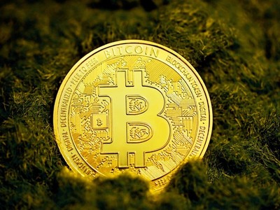 Các nhà sản xuất máy khai thác Bitcoin của Trung Quốc thiết lập sản xuất tại Mỹ để tránh thuế quan
