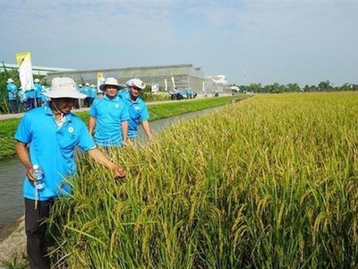 Lộc Trời (LTG) lùi thời gian tổ chức Đại hội đồng cổ đông năm 2025 sang ngày 21/7