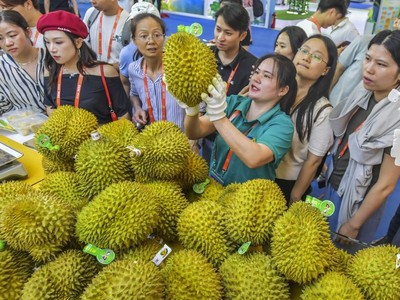 Trung Quốc siết chặt quy định nhập khẩu sầu riêng