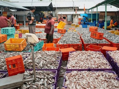 Thuế quan đẩy giá tôm tại Mỹ tăng cao