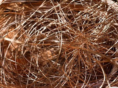 Thị trường đồng bấp bênh trong bối cảnh bùng nổ AI
