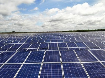 Trường Thành Group (TTA) sắp phát hành hơn 8,5 triệu cổ phiếu để trả cổ tức