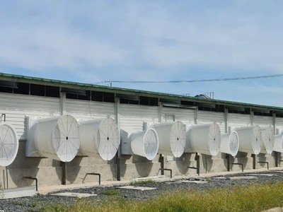 Lãi quý III/2025 của Siba Group (SBG) giảm tới 75,3%, về 4,33 tỷ đồng