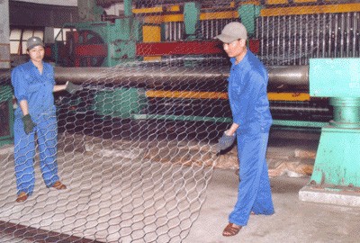 SFN chi trả 8% cổ tức đợt 2/2013 bằng tiền mặt