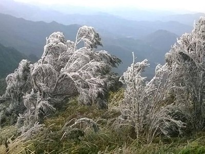 Đợt rét đậm vừa qua đã khiến 9.409 con gia súc và 43.242 con gia cầm bị chết...