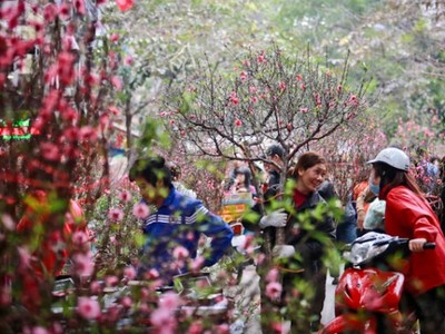 Nếu quyết tâm, Việt Nam sẽ có cơ hội giàu trước khi già