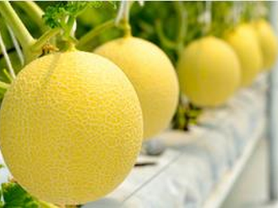 Standard Chartered  thu xếp phát hành 1.135 tỷ đồng trái phiếu cho PAN