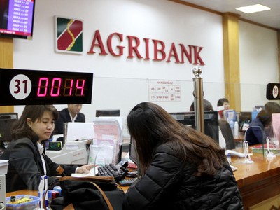 Agribank: Điểm tựa cho ngư dân “hồi sinh” sau sự cố môi trường biển