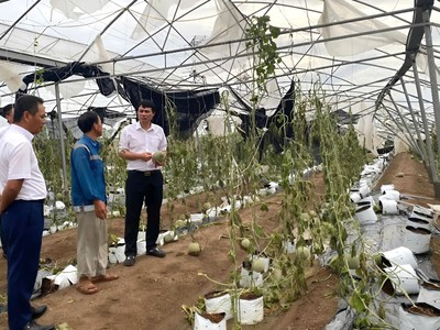 Agribank giảm tới 2%/năm lãi suất cho vay hỗ trợ khách hàng bị thiệt hại do bão số 3 