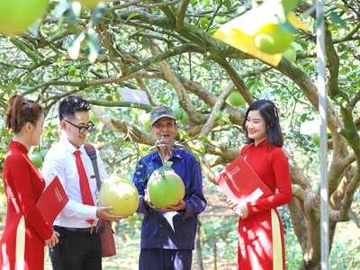 Agribank thúc đẩy phát triển bền vững với chương trình ưu đãi “xanh”