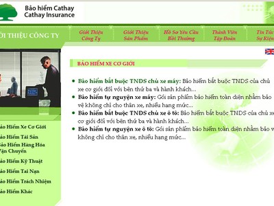 Năm 2015, Cathay Việt Nam giảm lỗ còn 1,7 tỷ đồng