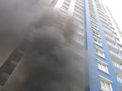 PVI xác nhận bán bảo hiểm cho Carina, số tiền bảo hiểm là 357 tỷ đồng