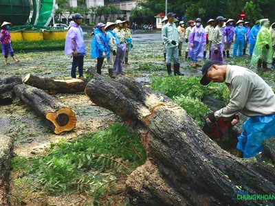 Công nhân vệ sinh môi trường đang cưa cây đổ, dọn dẹp vệ sinh trên phố Lý Thái Tổ, trước cửa trụ sở Ngân hàng Nhà nước Việt Nam sáng 8/9.