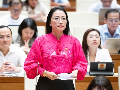 Đại biểu Trần Khánh Thu (đoàn Thái Bình) 