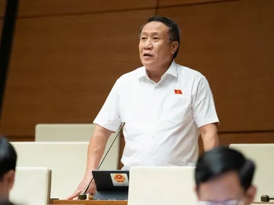 Đại biểu Hà Sỹ Đồng (đoàn Quảng Trị) phát biểu thảo luận chiều 29/10