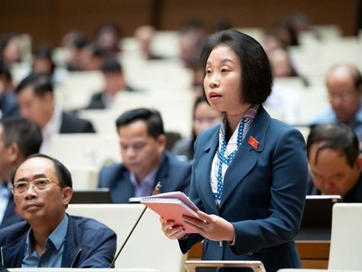 Đại biểu Phạm Thị Thanh Mai (đoàn Hà Nội) 