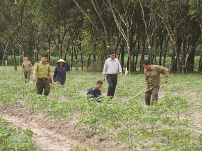Vietcap khởi động dự án vì cộng đồng Go Green Go Up