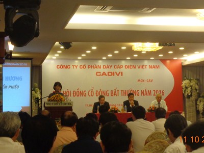 Đại hội đồng cổ đông bất thường CAV: Người của Gelex vào HĐQT