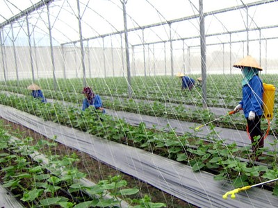 Chính sách còn bao bọc, thời tiết bất lợi nhưng nông nghiệp 2017 sẽ về đích thành công