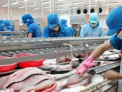 Vĩnh Hoàn (VHC): Xuất khẩu 11 tháng đạt 345 triệu USD, vượt năm 2016