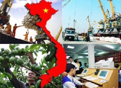 Xem danh mục các mặt hàng xuất khẩu nông sản tỷ USD của Việt Nam