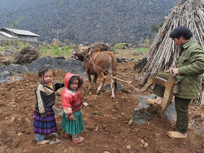 Nghèo đói, tăng trưởng kinh tế và môi trường vẫn là những vấn đề người dân quan ngại nhất.