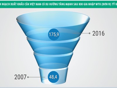 Doanh nghiệp nên bước tiếp thế nào sau 10 năm vào WTO?