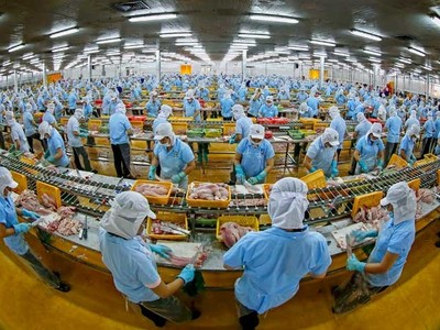 Kịch bản kém vui của nền kinh tế năm 2020 cần trở thành động lực để chúng ta nỗ lực vượt lên.