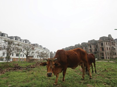 Dự án bất động sản chậm tiến độ, gặp nhiều vấn đề thì chi phí “mềm” càng cao. Ảnh: Dũng Minh