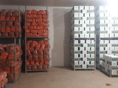 Hải Dương còn khoảng 90.000 tấn rau màu vụ đông cần tiêu thụ, chủ yếu là hành, tỏi, cà rốt, rau ăn lá.