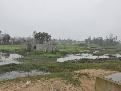 Quảng Nam yêu cầu Bách Đạt An đẩy nhanh tiến độ các dự án tại Điện Nam – Điện Ngọc