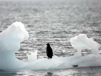 Liên hợp quốc kêu gọi hành động để tránh hậu quả "thảm khốc" của biến đổi khí hậu