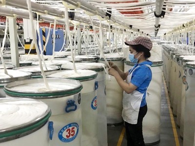 Doanh nghiệp FDI nắm phần lớn ngành sản xuất xơ sợi, khi đóng góp tới 2,7 tỷ/3,7 tỷ USD giá trị xuất khẩu trong năm 2020.